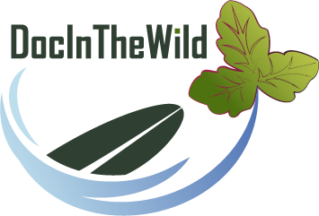 DocInTheWild